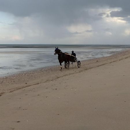 Gites En Normandie En Front De Mer A Asnelles , 3Km D'Arromanches, 10Km De Bayeux エクステリア 写真