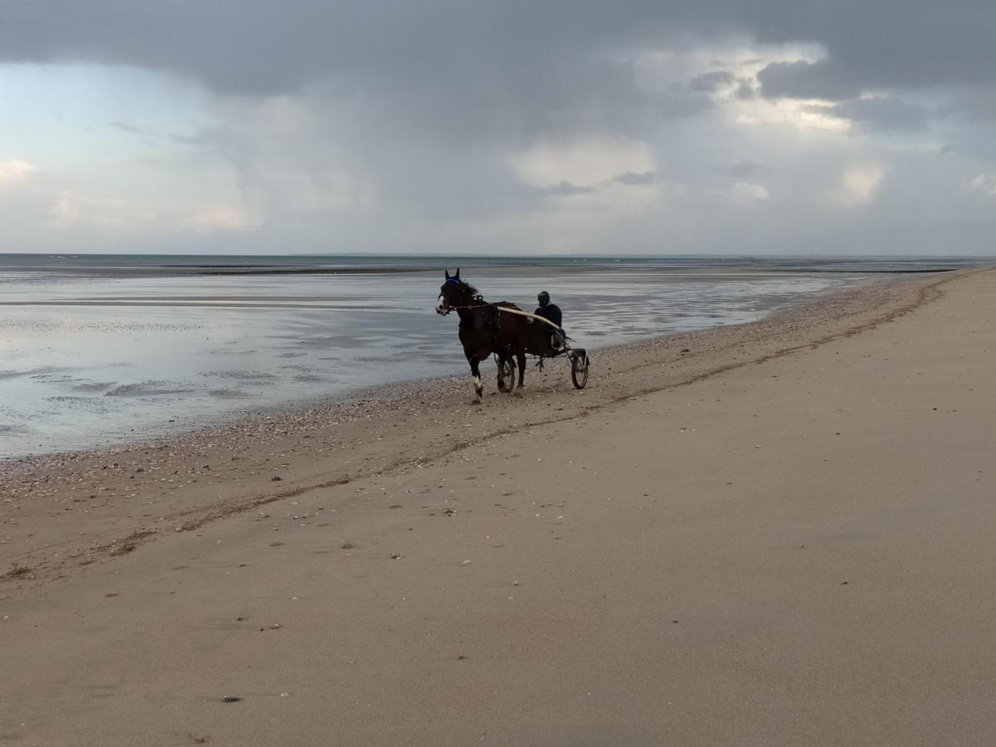 Gites En Normandie En Front De Mer A Asnelles , 3Km D'Arromanches, 10Km De Bayeux エクステリア 写真